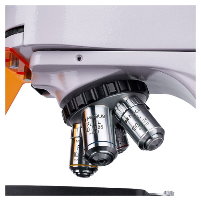 Микроскоп люминесцентный MAGUS Lum 400L Микроскоп люминесцентный MAGUS Lum 400L